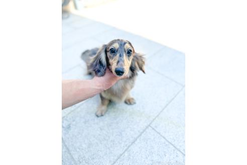 オーディンくん1枚目
